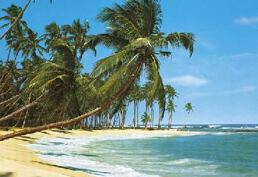 Poster para pared - Sud see Enmarcado de laminas