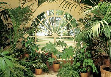 Poster para pared - Winter garden Enmarcado de laminas