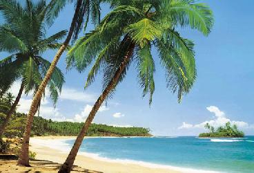 Poster para pared - Ile tropicale Marcos y Cuadros