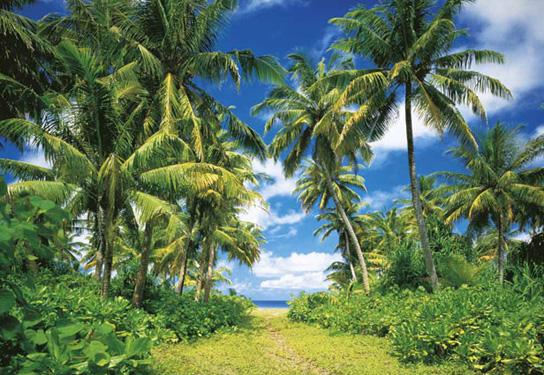 Poster para pared - Island in the sun