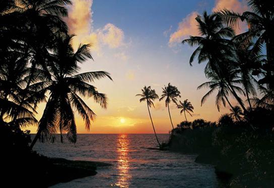 Poster para pared - Tropical sundown