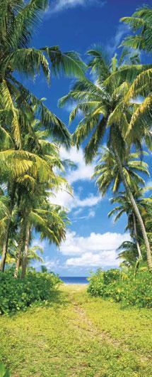 Poster para pared - Beach path