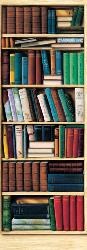 Poster para pared - Bibliotheque Enmarcado de cuadros