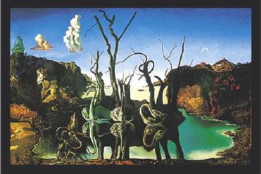 Cygnes reflechis en elephants Enmarcado de cuadros