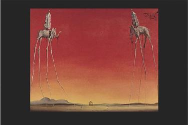 Les elephants Marcos y Cuadros