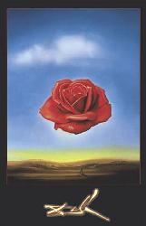 Rose mediative Enmarcado de cuadros