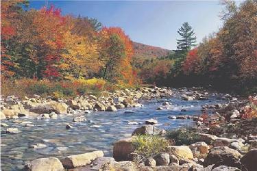 Poster - Autumn Brook Enmarcado de laminas