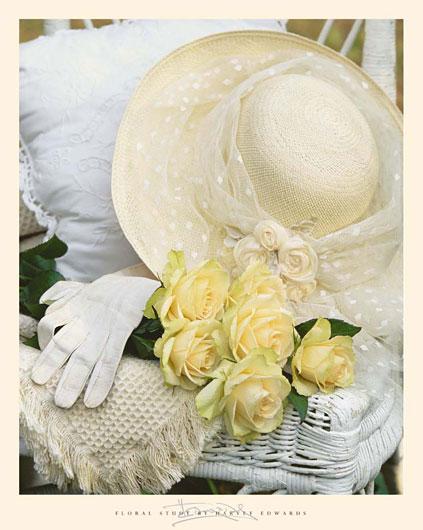 Lamina - Morning Light 