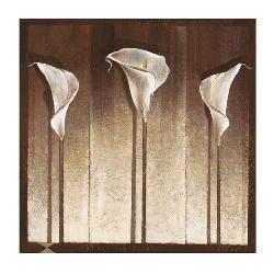 Lamina - Three Calla Lilies  Enmarcado de cuadros
