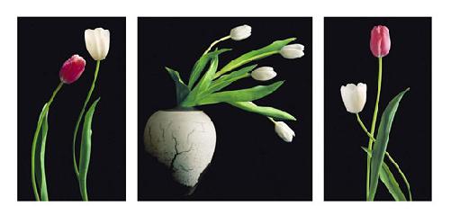 Lamina - Love Marcos y Cuadros