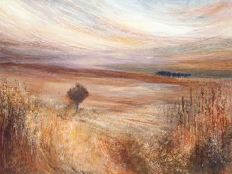 Lamina - oakley  Enmarcado de cuadros