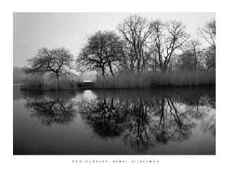 Lamina - prospect Park Morning  Marcos y Cuadros