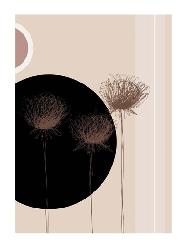 Lamina - Three Dandelions o Black Circle Marcos y Cuadros