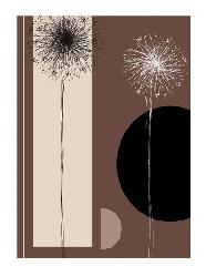 Lamina - Black and White Dandelions  Enmarcado de laminas