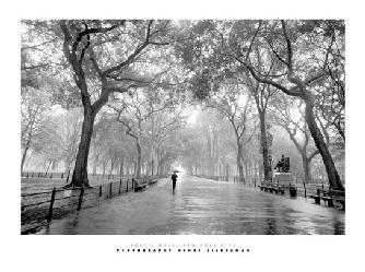 Lamina - Poets park  Marcos y Cuadros