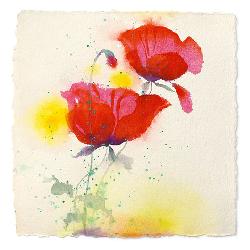 Lamina - Papaveri I Enmarcado de cuadros