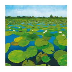 Lamina - Waterlilies Marcos y Cuadros