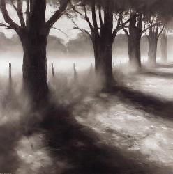 Lamina - Path By Field Enmarcado de cuadros