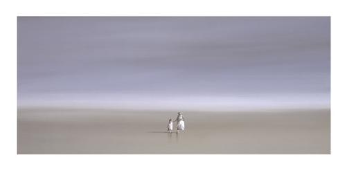 Lamina - Two for Tea  Enmarcado de laminas