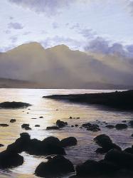 Lamina - timeless Marcos y Cuadros