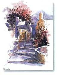 Lamina - Bouganville I Enmarcado de laminas