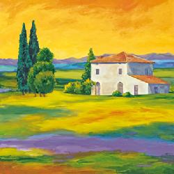 Lamina - Toscana II Enmarcado de cuadros