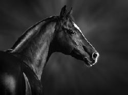 Impresion Fotografica  Fine Art Marcos y Cuadros