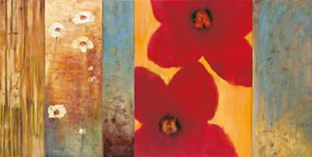 Lamina - Vibe I Marcos y Cuadros