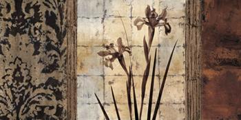 Lamina - Bodhi Enmarcado de laminas