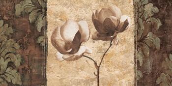 Lamina - Quintessence II Marcos y Cuadros