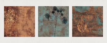 Lamina - Origins Marcos y Cuadros