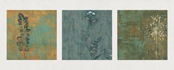 Lamina - Nature Path  Enmarcado de cuadros