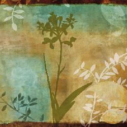 Lamina - Haven I Marcos y Cuadros