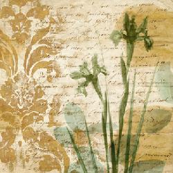 Lamina - Romance II Marcos y Cuadros