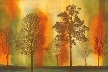 Lamina - Sunset I Enmarcado de laminas