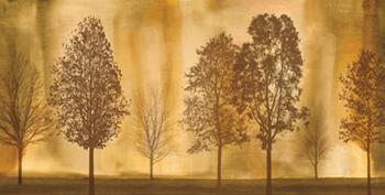 Lamina - Idyllic  Marcos y Cuadros