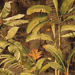 Lamina - Hidden Gem I Marcos y Cuadros