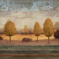 Lamina - In Awe I Enmarcado de cuadros