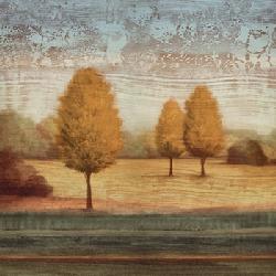 Lamina - In Awe II Enmarcado de laminas