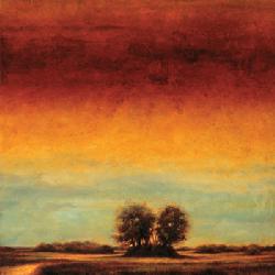 Lamina - Transformation II Enmarcado de laminas