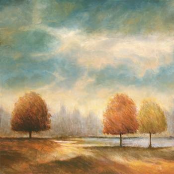 Lamina - light and Shadowns I