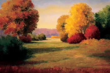 Lamina - The Morning Light I Enmarcado de laminas