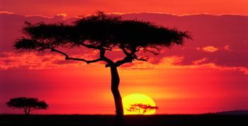 Lamina - Masai Mara Plains, Kenya Enmarcado de laminas