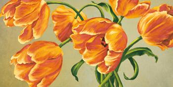 Lamina - Poeme  Marcos y Cuadros