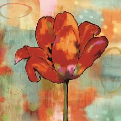 Lamina - Fanciful I Marcos y Cuadros