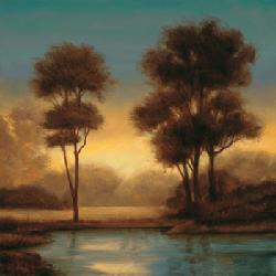 Lamina - Twilight II Marcos y Cuadros