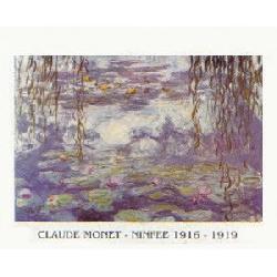 Lamina - Ninfee 1916-1919 Enmarcado de laminas