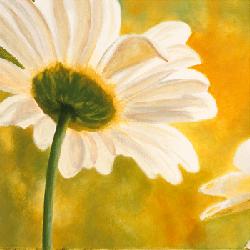 Lamina - Marguerites dans le Soleil I Enmarcado de cuadros