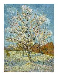 Vincent Van Gogh  Duraznero Rosado Marcos y Cuadros