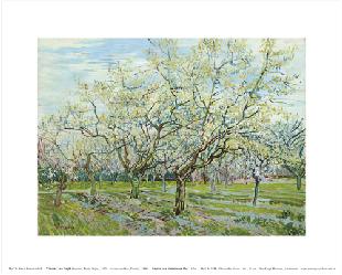 Vincent Van Gogh Ciruelos en Flor Marcos y Cuadros